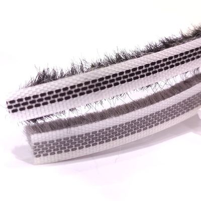 ISO9001 2008 Sertifikalı Fırça Şerit Kaydırıcı Kapı Ve Pencere Yün Yığın Hava Şerit Ahşap Pencere için Yığın Yüksekliği 3-25mm